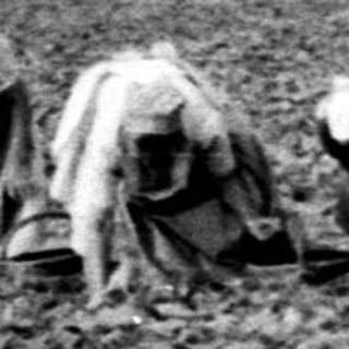 Here's a brief summary of the image: People working in a field, likely harvesting or planting.