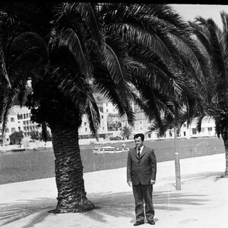 Man stands near a palm tree by the water.