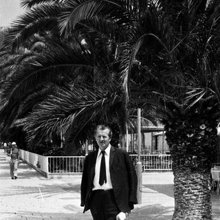 Man in suit stands near palm tree on paved street.