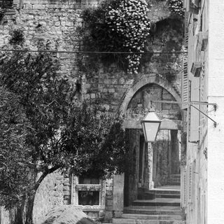 Arched stone steps and foliage in a historic European setting.