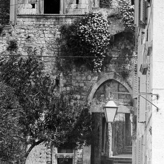 Arched stone steps and foliage in a historic European setting.