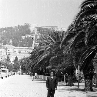 Man in suit stands on a palm-lined promenade.
