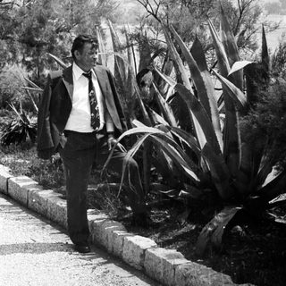 Man in suit stands near plants, overlooking a body of water.
