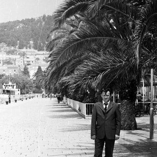 Man in suit stands on a palm-lined promenade.