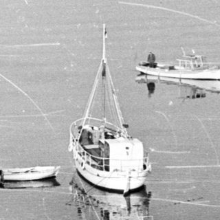 Boats anchored in a harbor, viewed from a hillside.