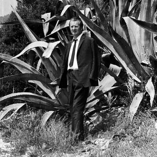 Man in a suit stands near large agave plants.