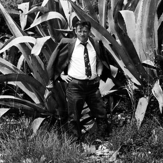 Man in suit stands among large agave plants.
