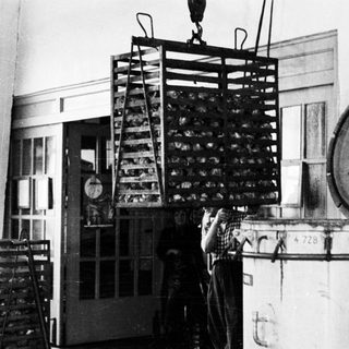 Black and white image of a wire cage suspended from a crane.