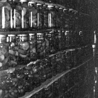 Shelves filled with jars, possibly preserved food or specimens.