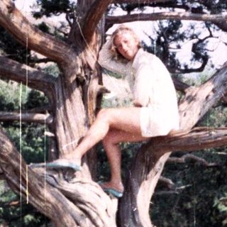 Woman sits in a tree outdoors on a sunny day.