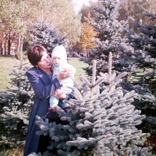 Woman holds baby amongst a field of young pine trees.