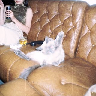 Woman and cat relax on a tufted, leather couch.