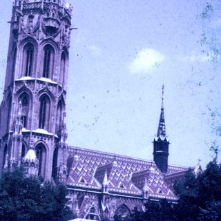 A grand cathedral is visible behind foliage and a structure.