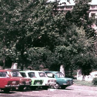 Vintage residential street with cars, trees, and a parking sign.
