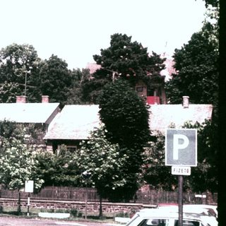 Vintage residential street with cars, trees, and a parking sign.