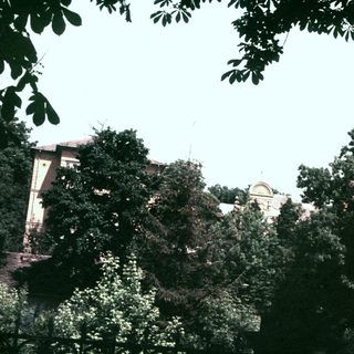Building visible through trees against a light sky.