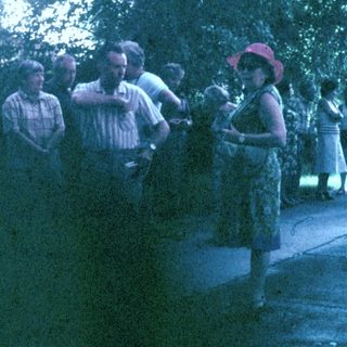 Group of people standing and looking over a hedge.