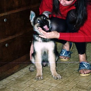 Woman kneeling, holding a puppy in a tiled room.