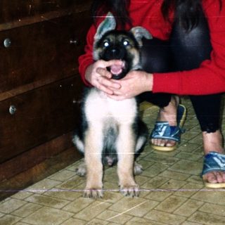 Woman crouches near a puppy in a tiled room.