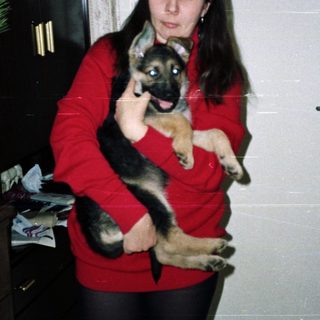 Woman holds German Shepherd puppy near a decorated Christmas tree.