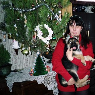 Woman holding a puppy near a Christmas tree.