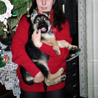 Woman holding a puppy near a Christmas tree.