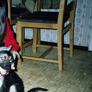 Woman kneeling, interacting with a young German Shepherd puppy.