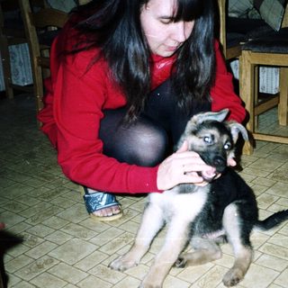 Woman kneeling, interacting with a young German Shepherd puppy.