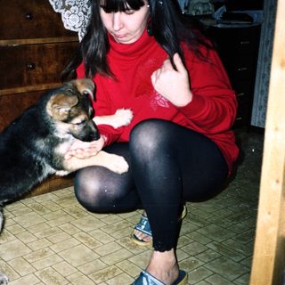 Woman interacting with a German Shepherd puppy indoors.