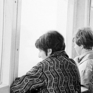 Three people observe something through a window.