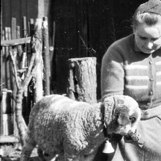 Man and woman with lamb in a rural setting.