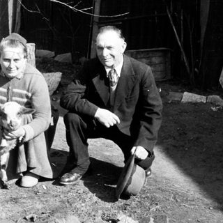 Couple poses with a lamb in a rural setting.