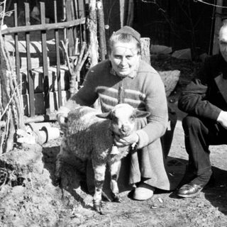 Couple poses with a lamb in a rural setting.