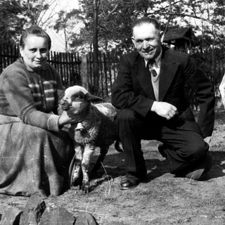 Couple poses with a young lamb in a yard.
