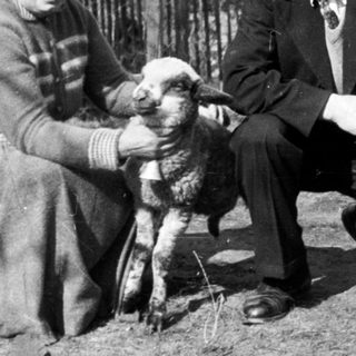 Couple poses with a lamb in a rural setting.