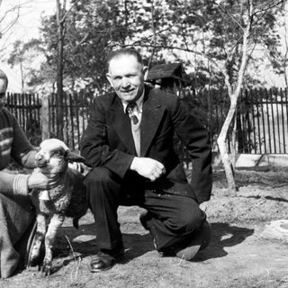 Couple poses with a lamb in a rural setting.