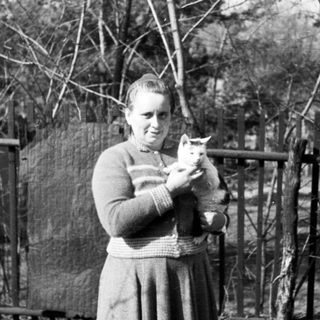 Woman holds a kitten outdoors, standing near a fence.