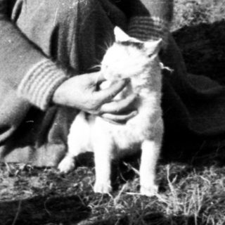 Woman sits outdoors with a small kitten in her lap.