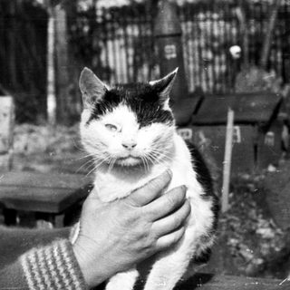 Woman holding a cat outdoors in a black and white photo.