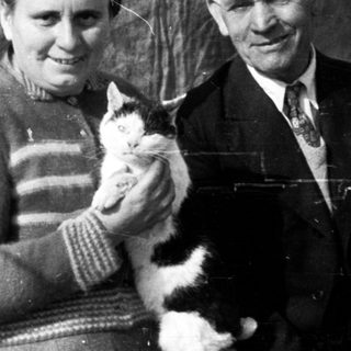 Black and white photo shows a couple holding a cat.