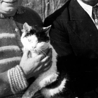 Black and white portrait of a couple holding a cat.