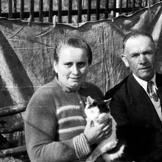 Black and white portrait of a couple holding a cat.