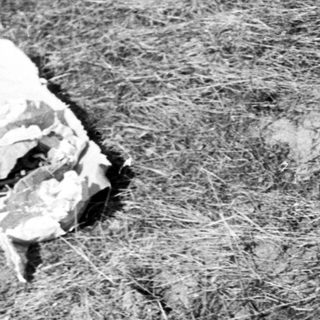 Disturbed earth and vegetation with discarded paper debris.