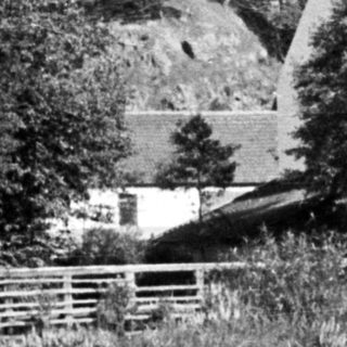 Black and white image of a river with foliage and buildings.