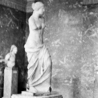 Here's a brief summary of the image: Statues on pedestals are displayed within a museum setting.