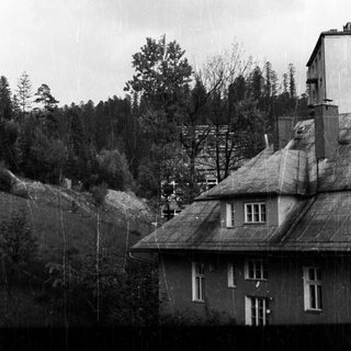 Here's a brief summary of the image: Old house with a steep roof and trees nearby.