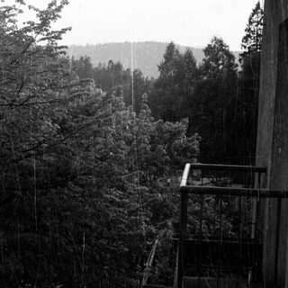 Rain falls on a balcony overlooking a dense forest.