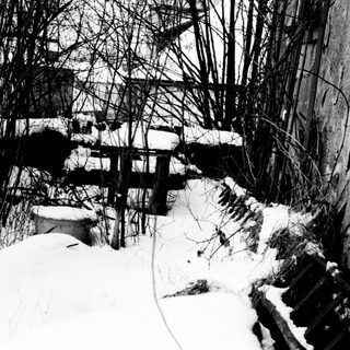 Snow-covered steps and foliage against a textured wall.