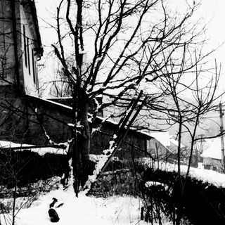 Black and white image of snow-covered landscape with trees and building.