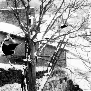 Snow-covered village with bare trees and a dark bird.
